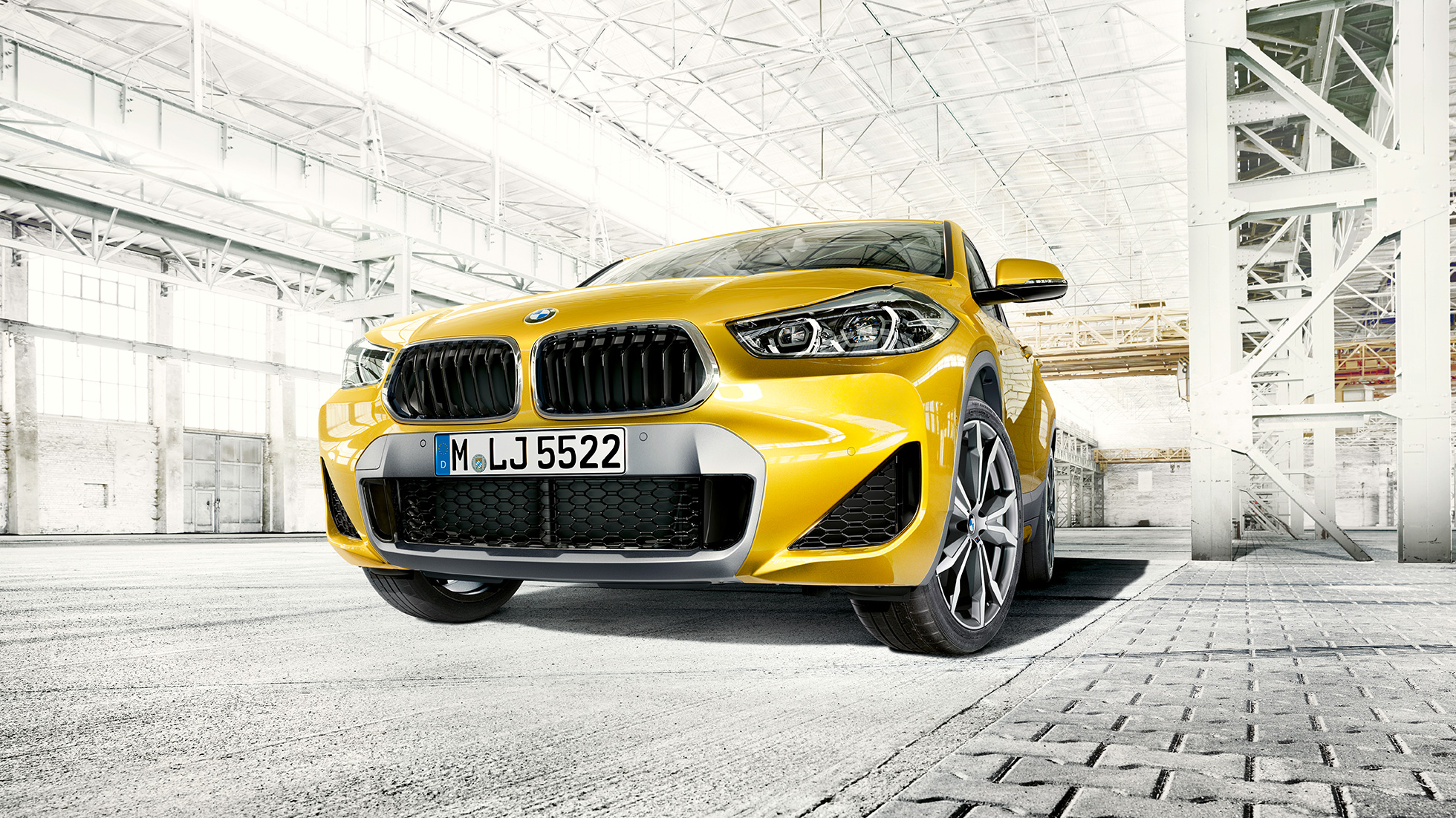 גריל כליות BMW X2 F39 BMW X2 2018 F39 זהב מטאלי, מבט קדמי, גריל כליות